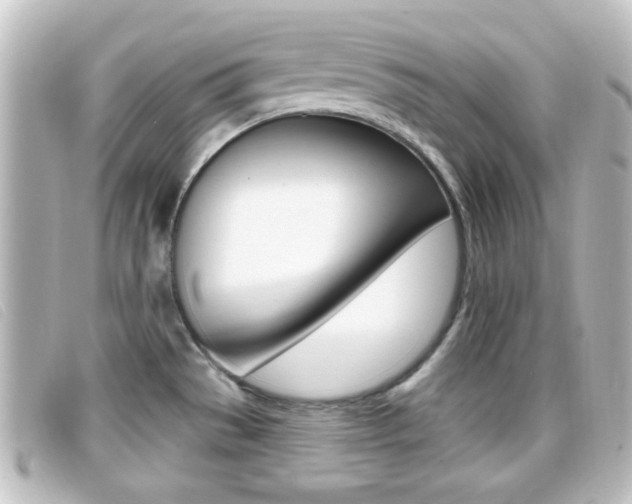 X0000096711529200802051026