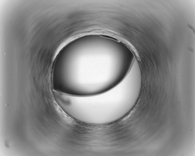 X0000096711530200802051026