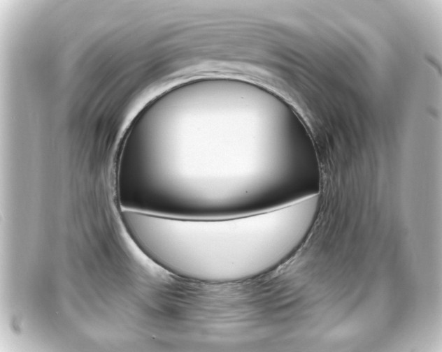 X0000096711531200802051026