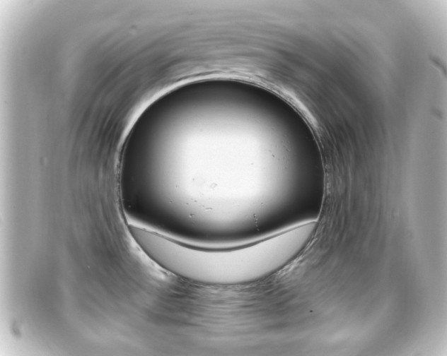 X0000096711532200802051026