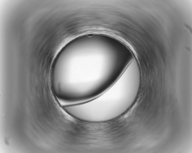 X0000096711533200802051026