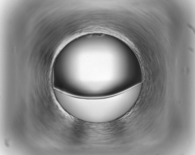 X0000096711536200802051026
