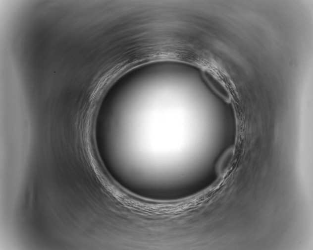 X0000096710001200802051431