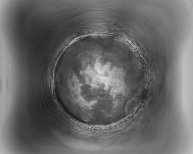 X0000096710002200802051431