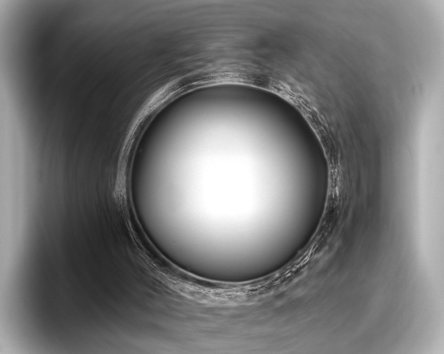 X0000096710004200802051431