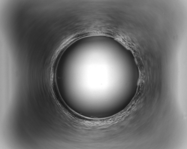 X0000096710005200802051431