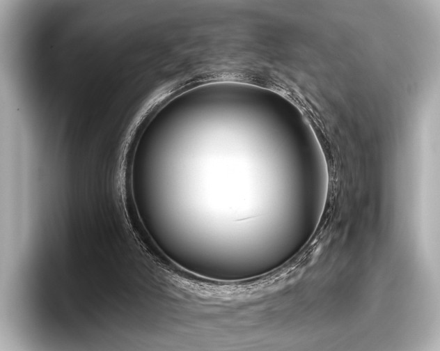 X0000096710006200802051431