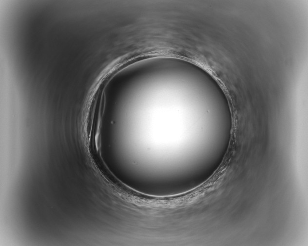 X0000096710007200802051431