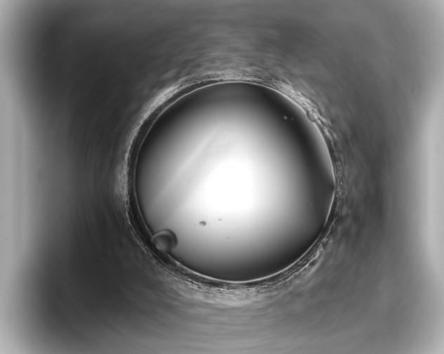 X0000096710008200802051431