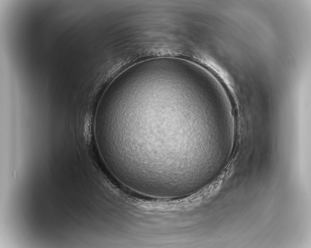 X0000096710009200802051431