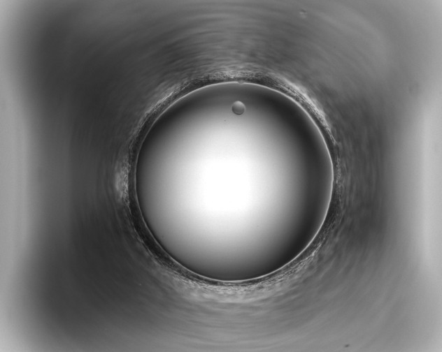 X0000096710010200802051431