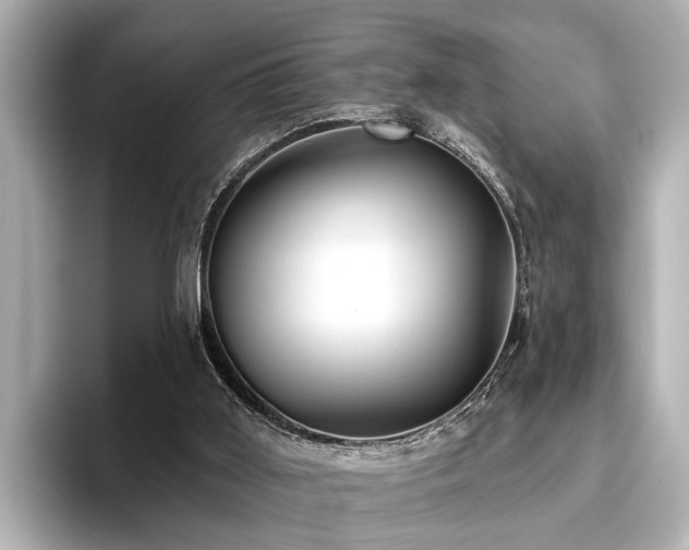 X0000096710011200802051431