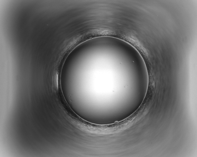 X0000096710014200802051431