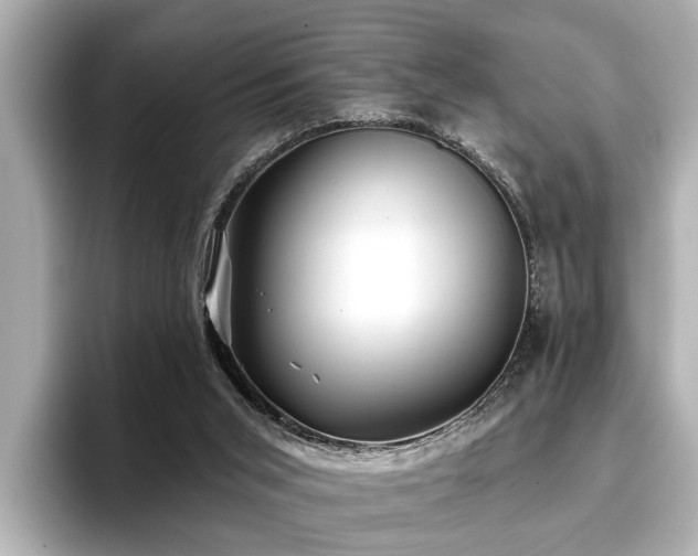 X0000096710015200802051431