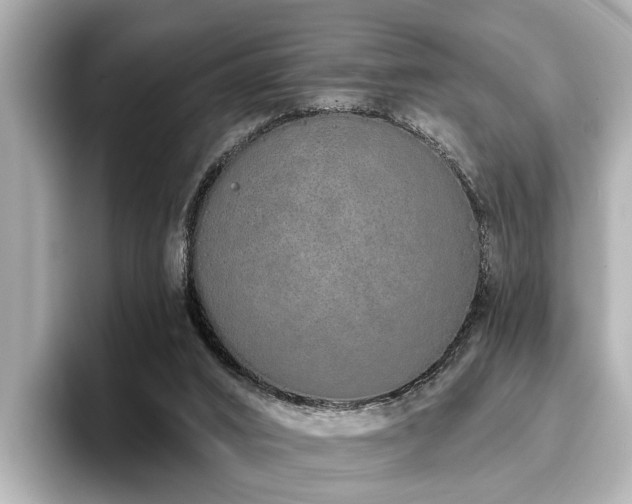 X0000096710016200802051431