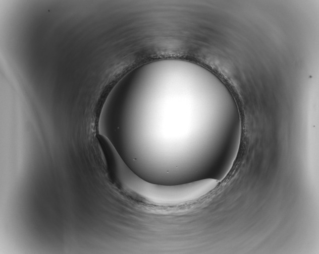 X0000096710017200802051431