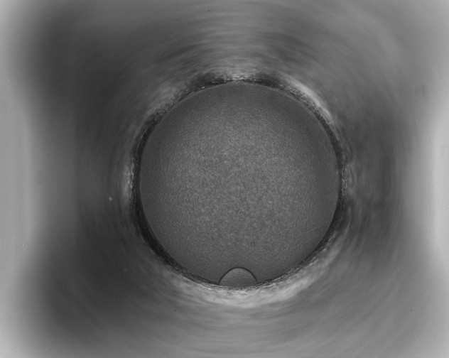 X0000096710018200802051431