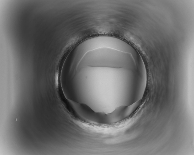 X0000096710019200802051431