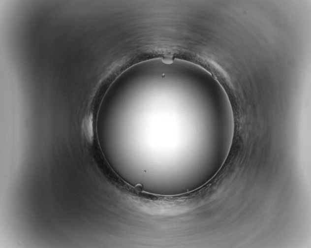 X0000096710020200802051431