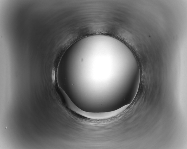 X0000096710021200802051431