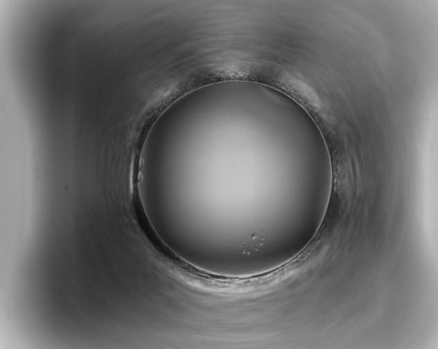 X0000096710023200802051431