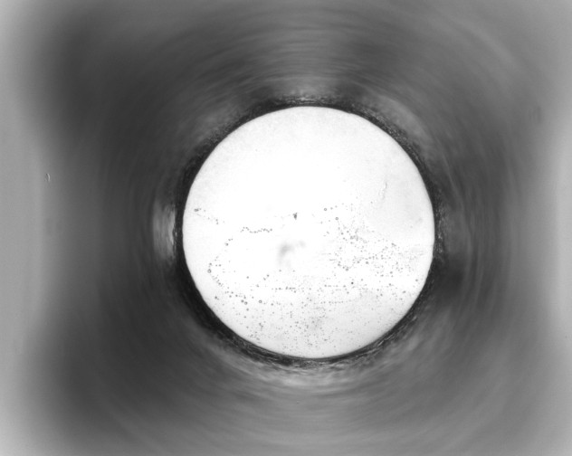 X0000096710024200802051431