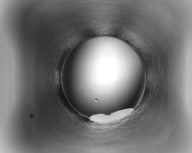 X0000096710025200802051431