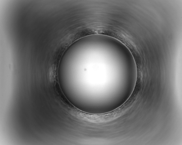 X0000096710030200802051431