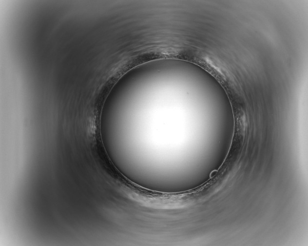 X0000096710032200802051431