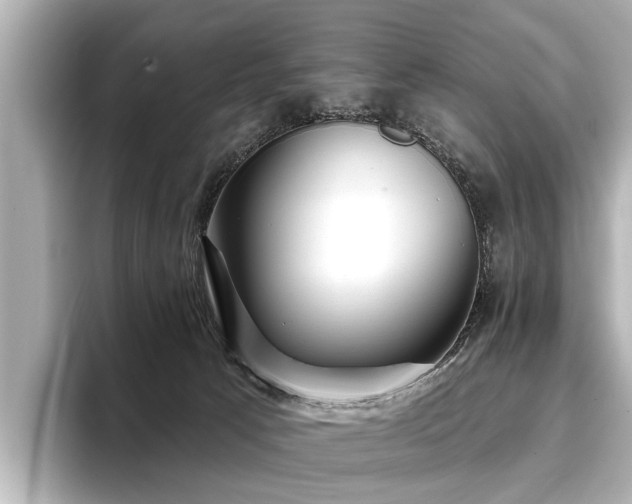 X0000096710033200802051431