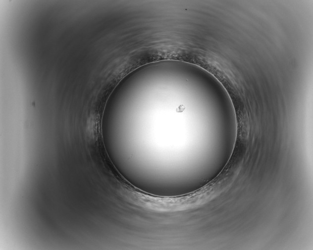 X0000096710034200802051431