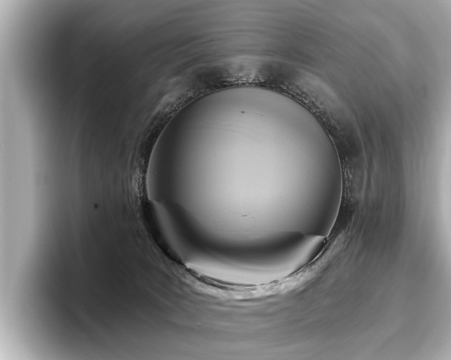 X0000096710035200802051431