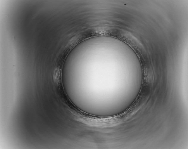 X0000096710036200802051431