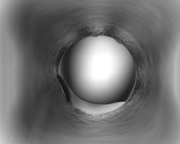 X0000096710037200802051431