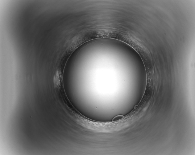 X0000096710038200802051431