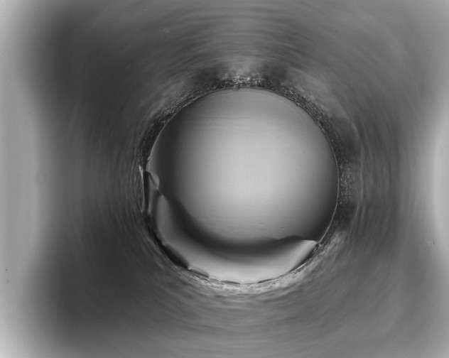 X0000096710039200802051431