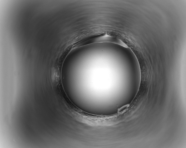 X0000096710040200802051431