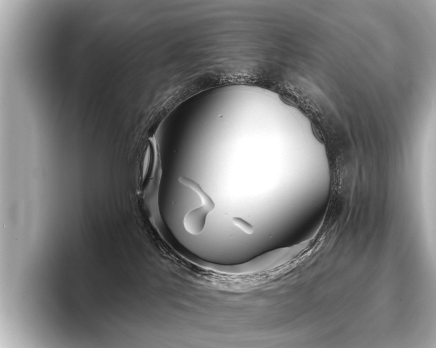 X0000096710041200802051431