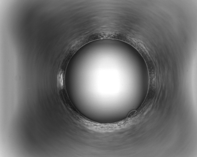 X0000096710042200802051431