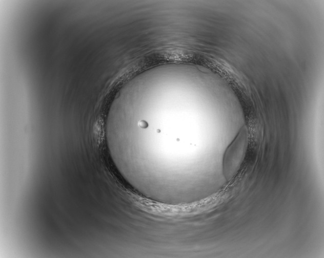 X0000096710043200802051431