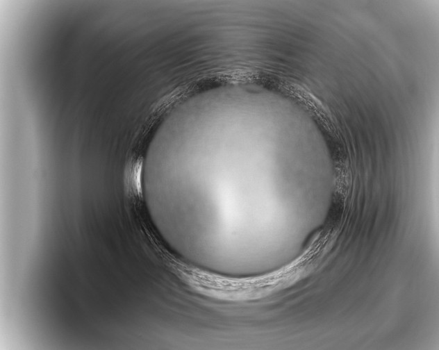 X0000096710047200802051431