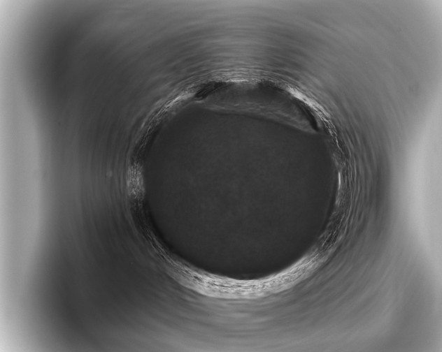 X0000096710048200802051431