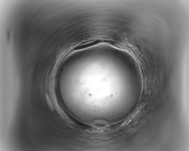 X0000096710049200802051430