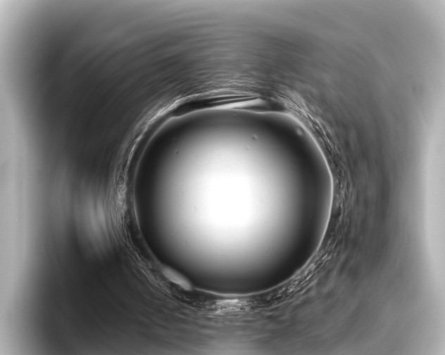 X0000096710050200802051430