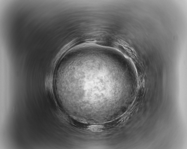 X0000096710051200802051430