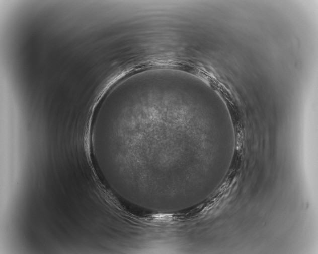 X0000096710052200802051430