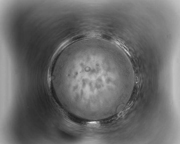 X0000096710053200802051430