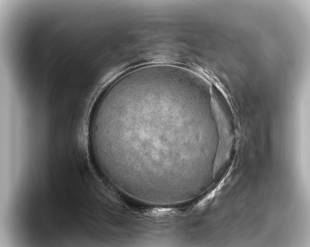 X0000096710055200802051430