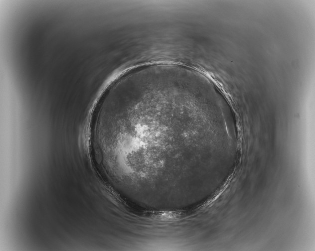 X0000096710056200802051430