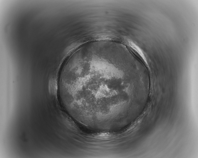 X0000096710059200802051430